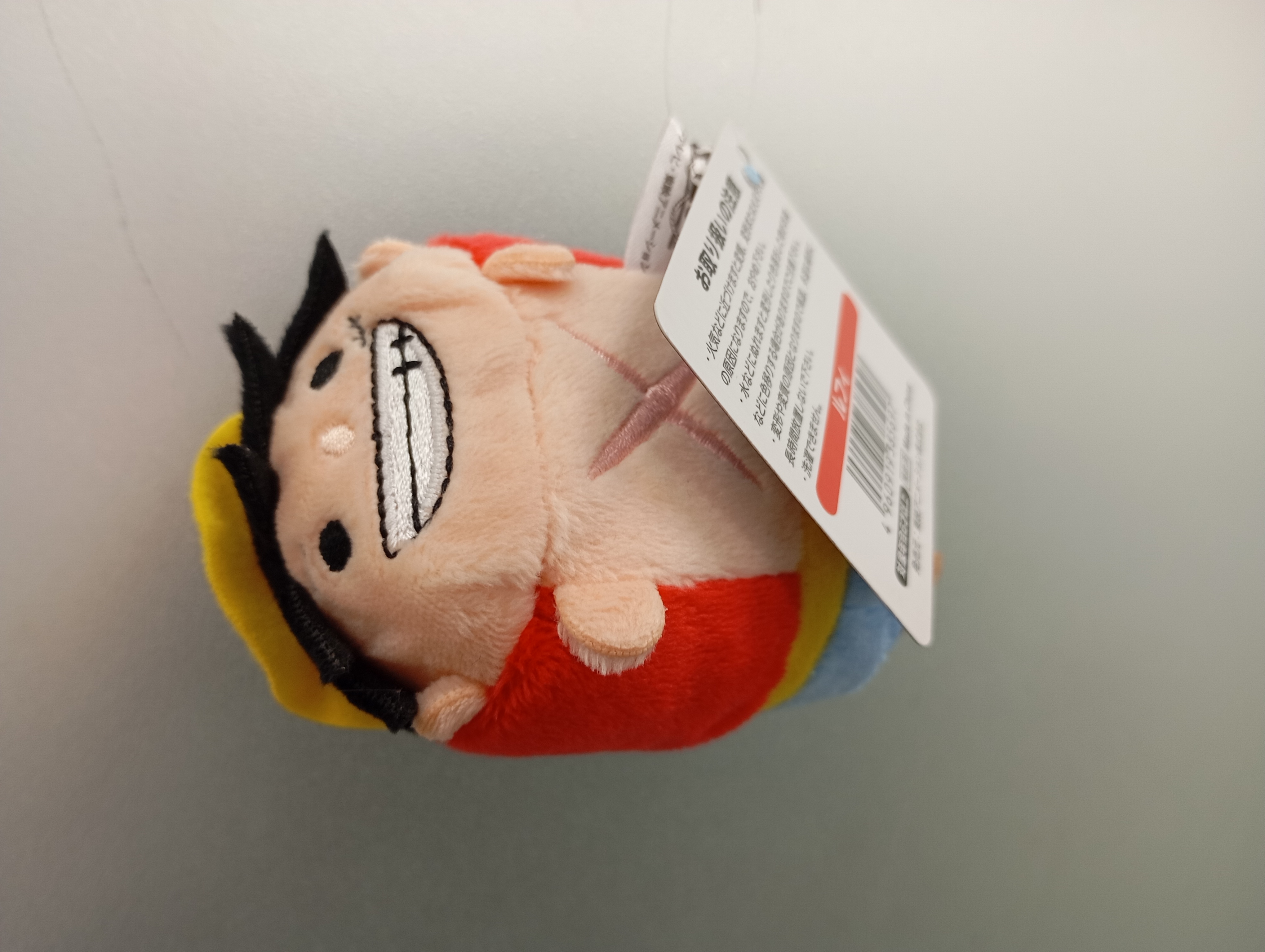 絨毛魯夫